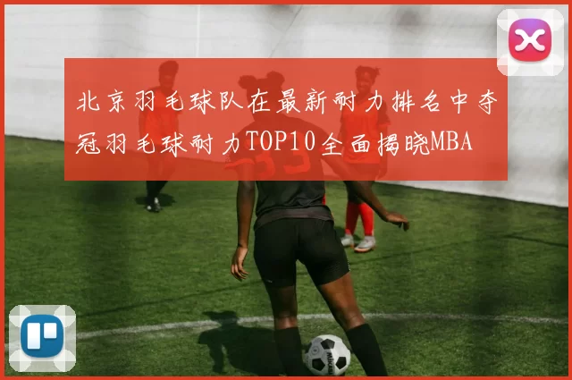 北京羽毛球队在最新耐力排名中夺冠羽毛球耐力TOP10全面揭晓MBA