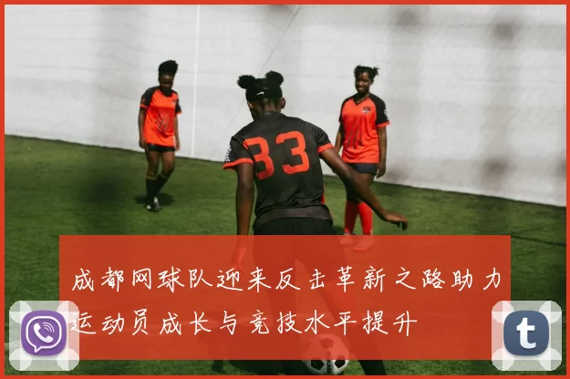 成都网球队迎来反击革新之路助力运动员成长与竞技水平提升