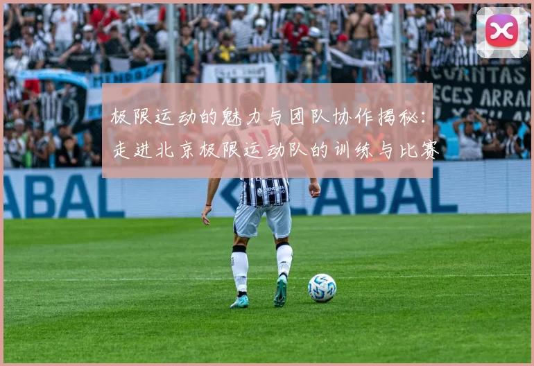 极限运动的魅力与团队协作揭秘：走进北京极限运动队的训练与比赛MBA