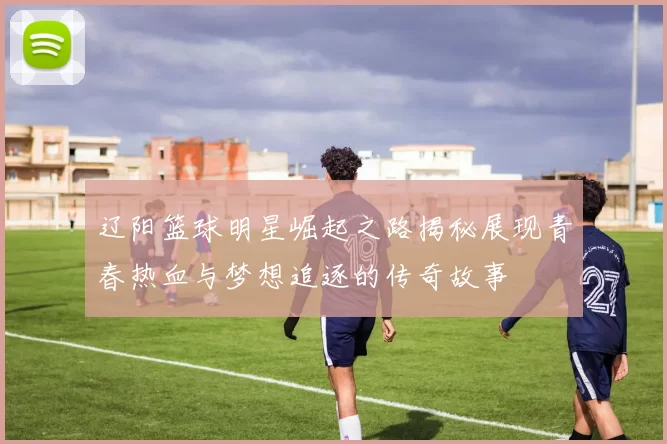 辽阳篮球明星崛起之路揭秘展现青春热血与梦想追逐的传奇故事