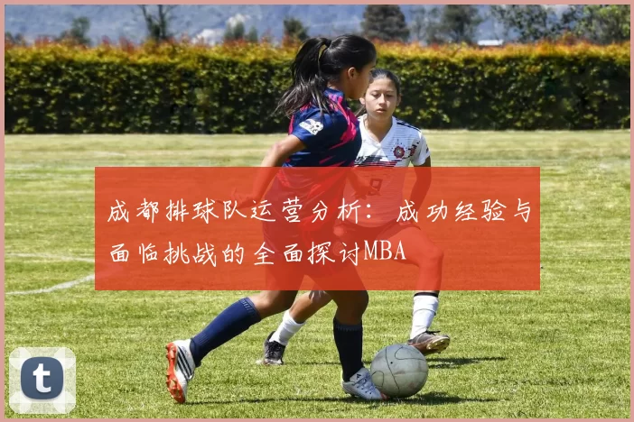 成都排球队运营分析：成功经验与面临挑战的全面探讨MBA