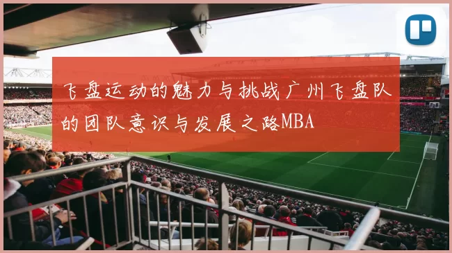 飞盘运动的魅力与挑战广州飞盘队的团队意识与发展之路MBA