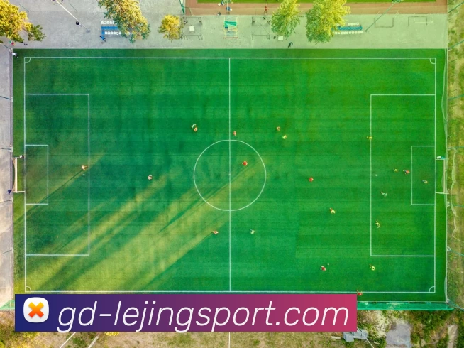 多媒体互动体验